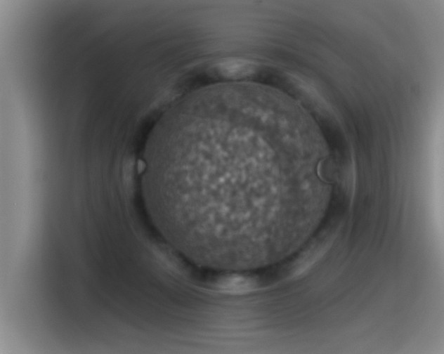 X0000115400319200911101517
