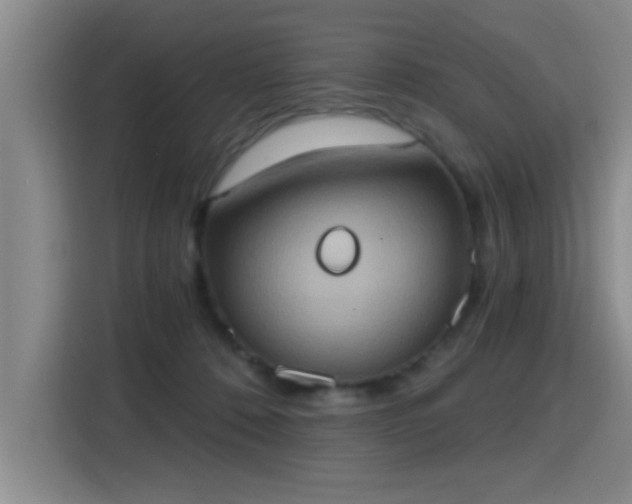 X0000115400320200911101517