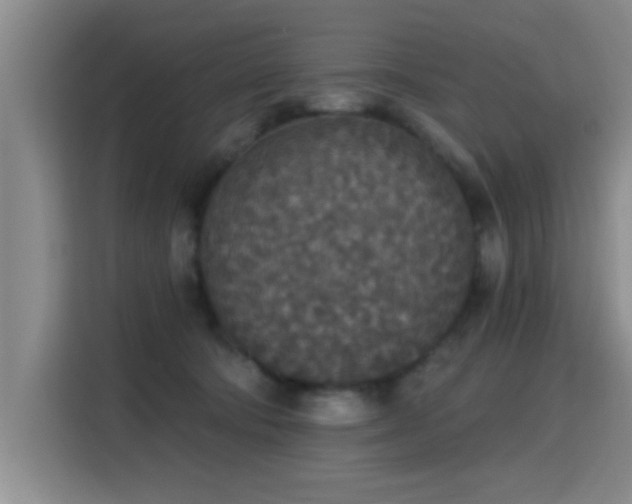 X0000115400322200911101517