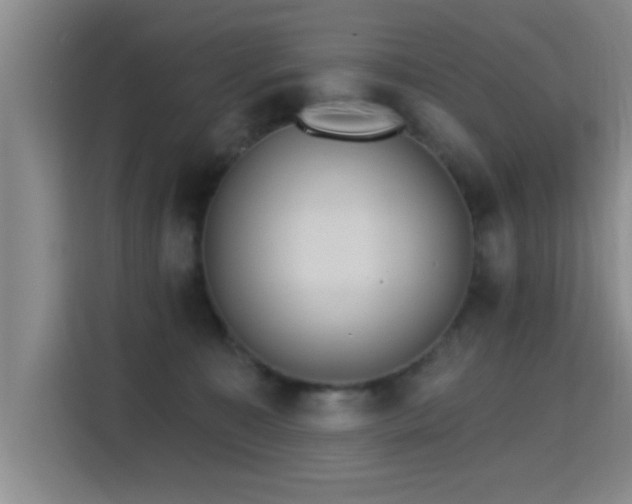 X0000115400323200911101517