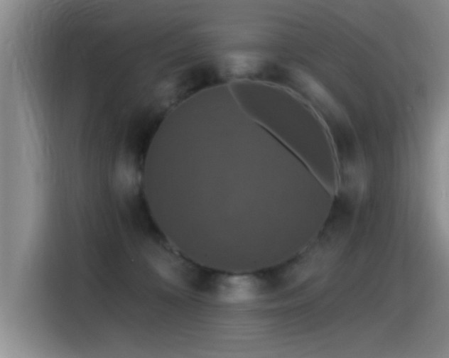 X0000115400324200911101517