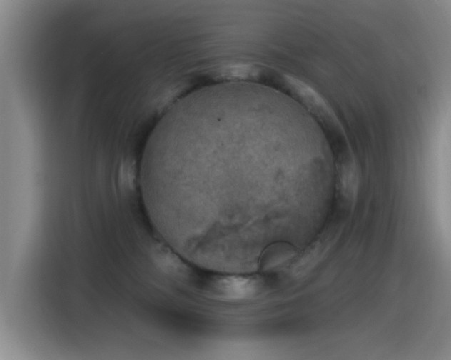 X0000115400326200911101517
