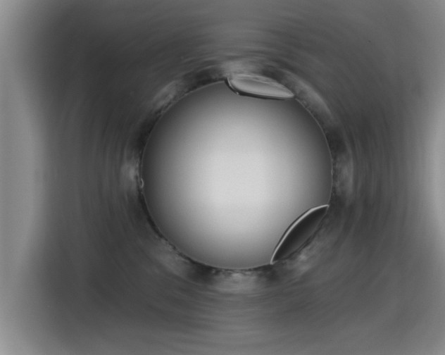 X0000115400329200911101517