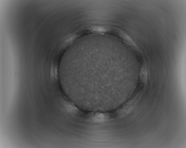 X0000115400330200911101517