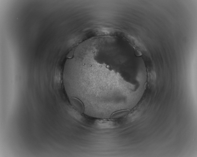 X0000115400331200911101517