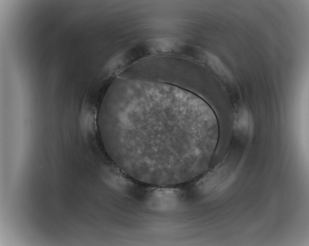 X0000115400332200911101517