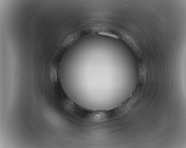 X0000115400333200911101517