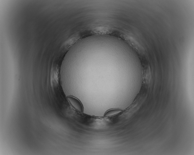 X0000115400334200911101517