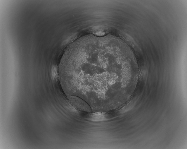 X0000115400335200911101517