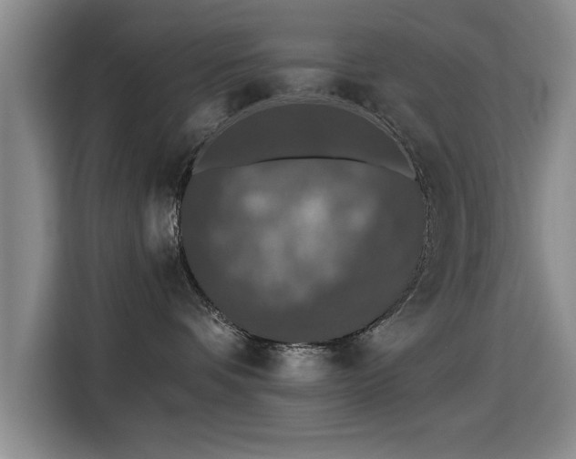 X0000115400336200911101517