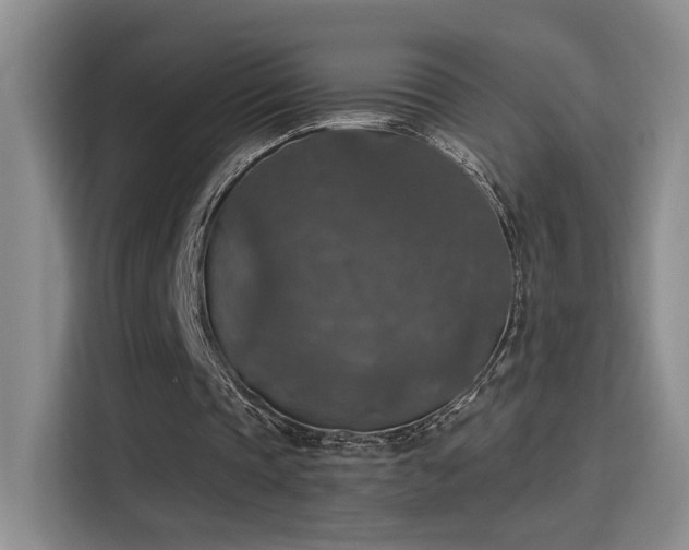 X0000115400337200911101516