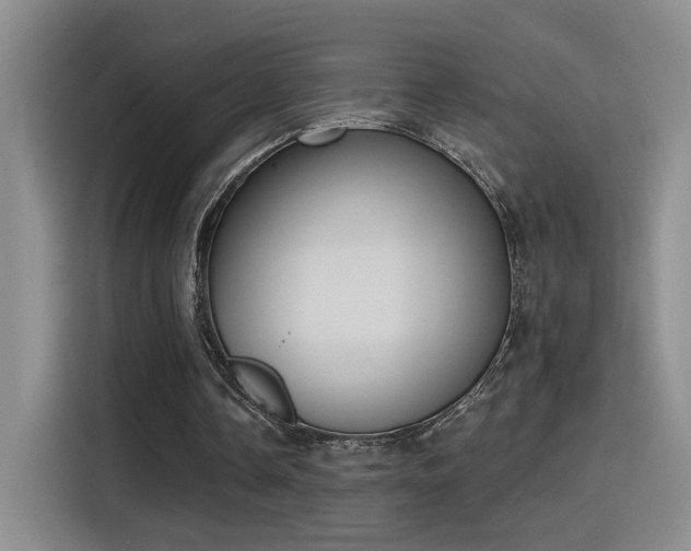 X0000115400338200911101516