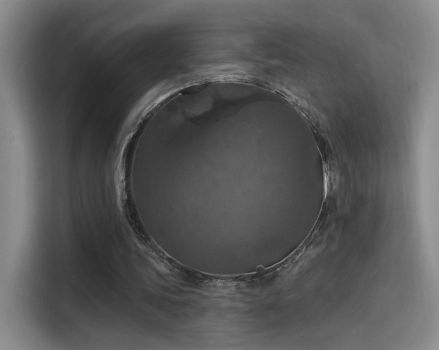 X0000115400339200911101516