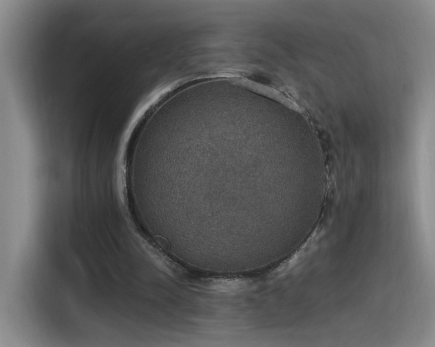 X0000115400342200911101517