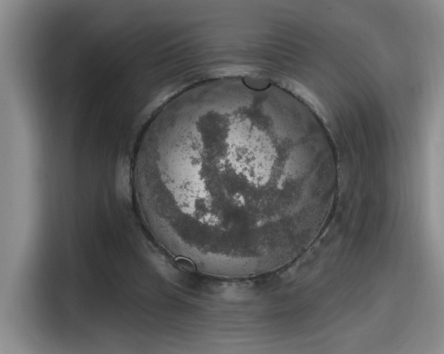 X0000115400345200911101517
