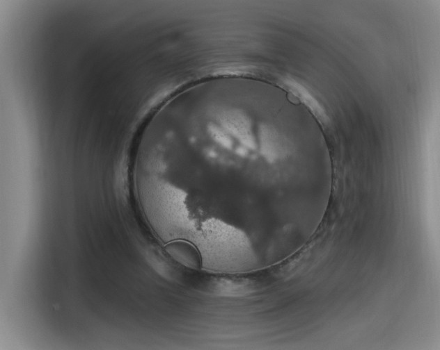 X0000115400346200911101517