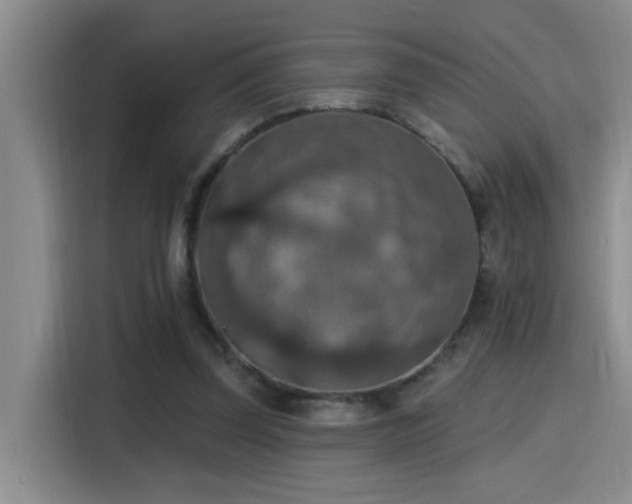 X0000115400347200911101517