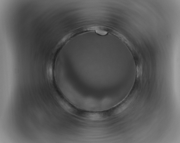 X0000115400349200911101517