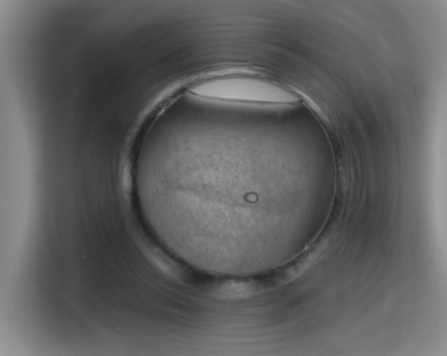 X0000115400350200911101517