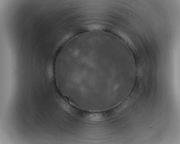 X0000115400353200911101517