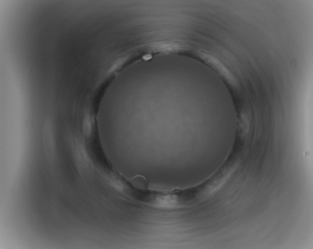 X0000115400355200911101517