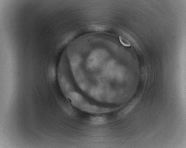 X0000115400358200911101517