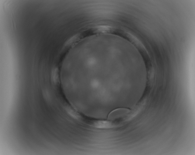 X0000115400361200911101517