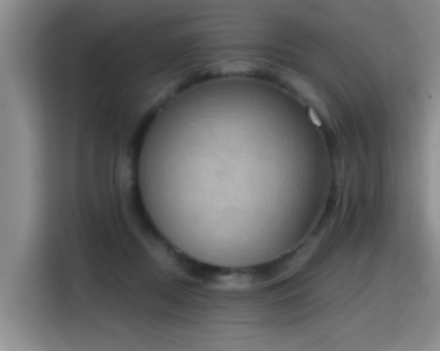 X0000115400362200911101517