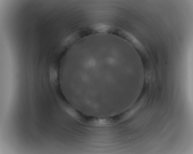 X0000115400365200911101517