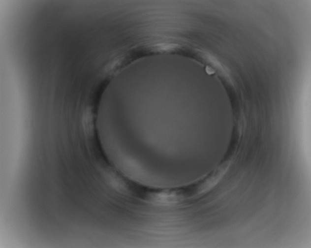 X0000115400366200911101517