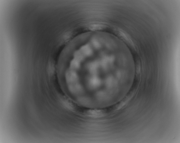 X0000115400367200911101517