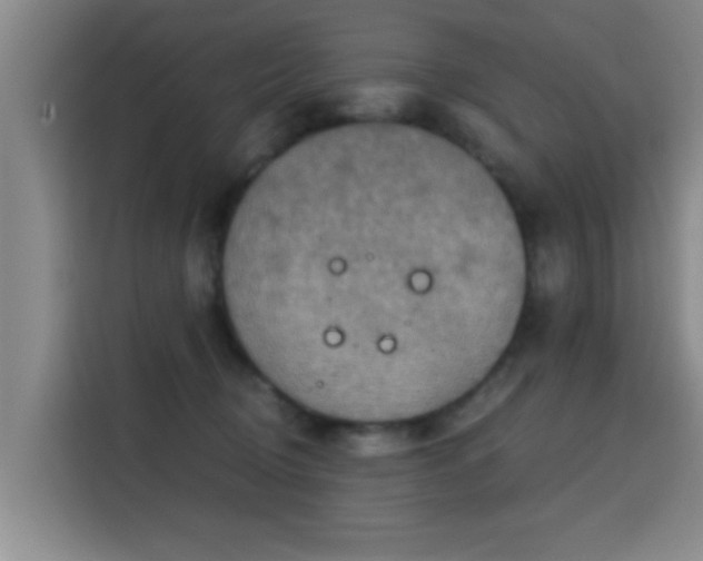 X0000115400370200911101517