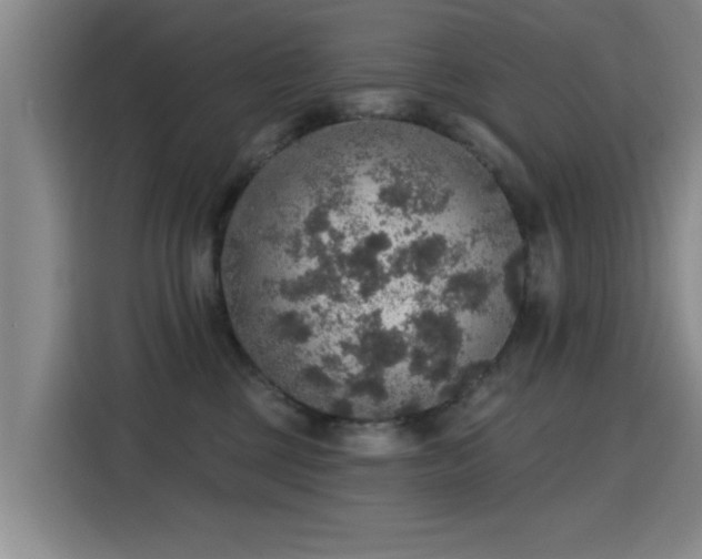X0000115400377200911101517