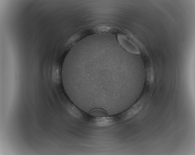 X0000115400378200911101517