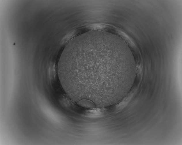 X0000115400381200911101517