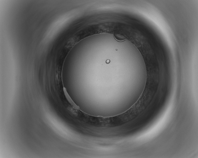 X0000115400382200911101517