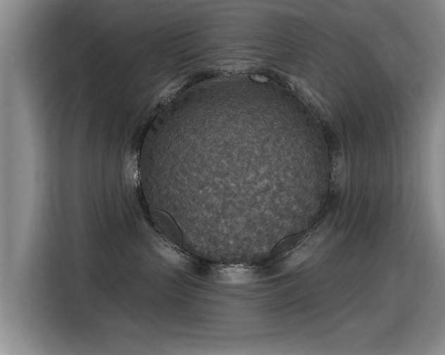 X0000115400383200911101517
