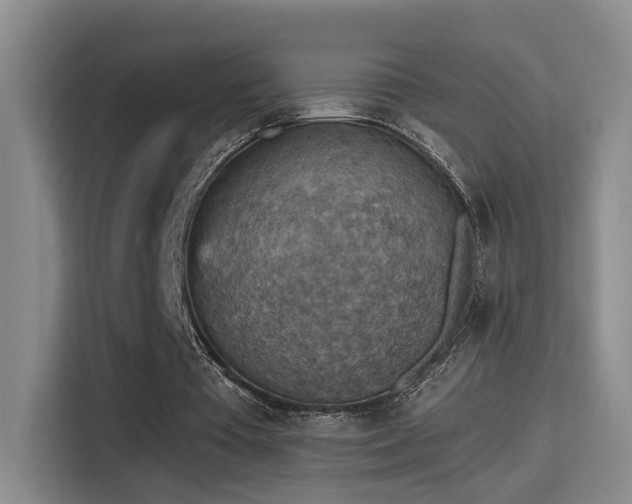 X0000115400385200911101516