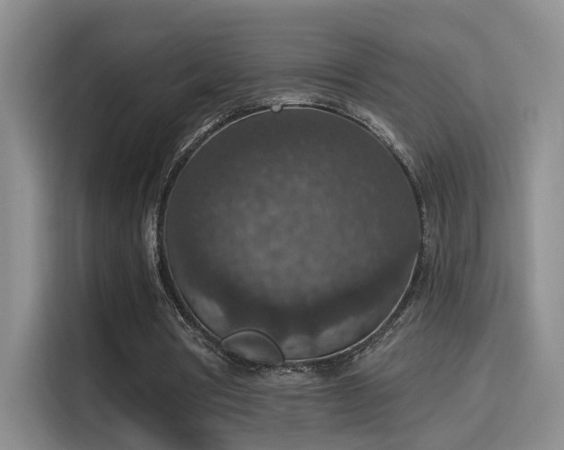 X0000115400386200911101516