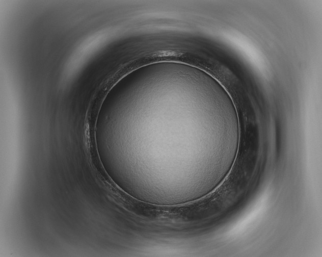 X0000115400387200911101516