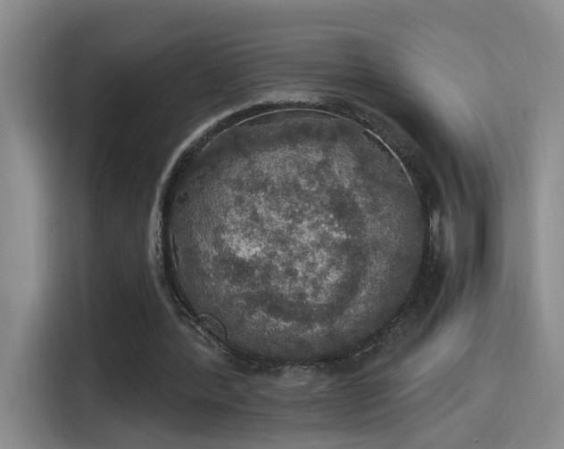 X0000115400388200911101516