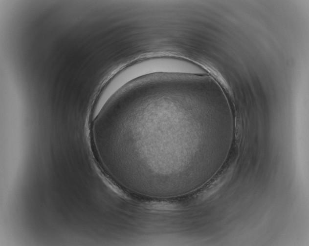 X0000115400389200911101516