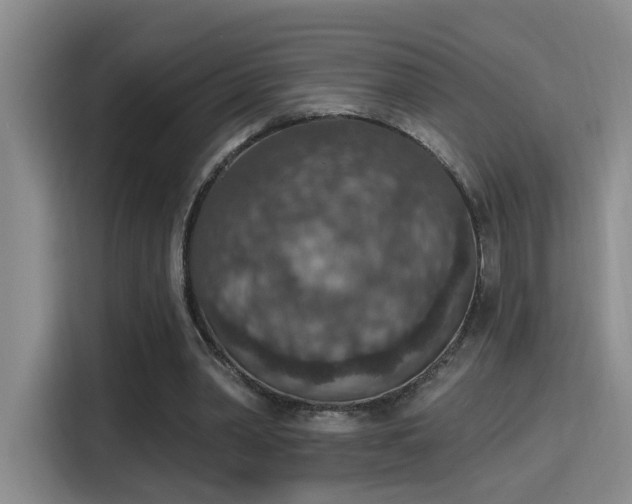 X0000115400390200911101516