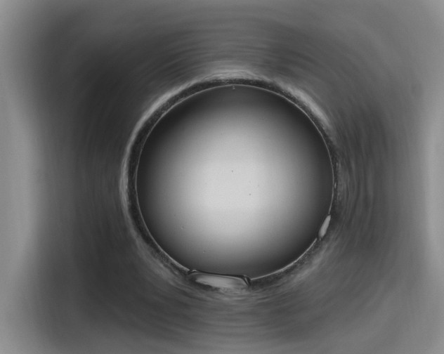 X0000115400391200911101516