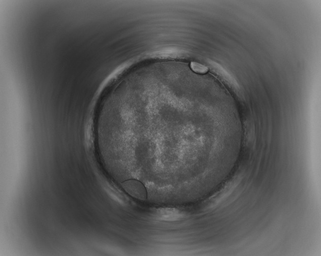 X0000115400392200911101516