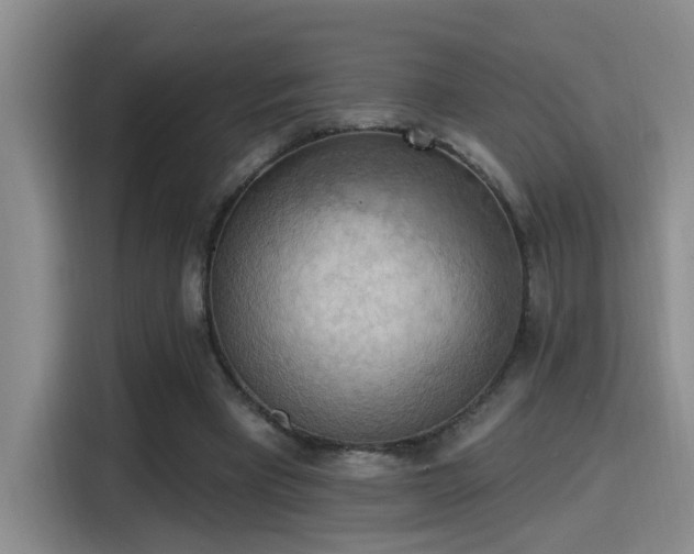 X0000115400393200911101516