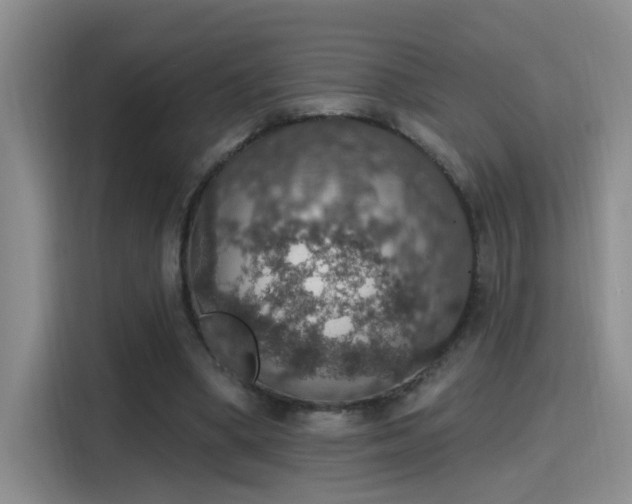 X0000115400394200911101516