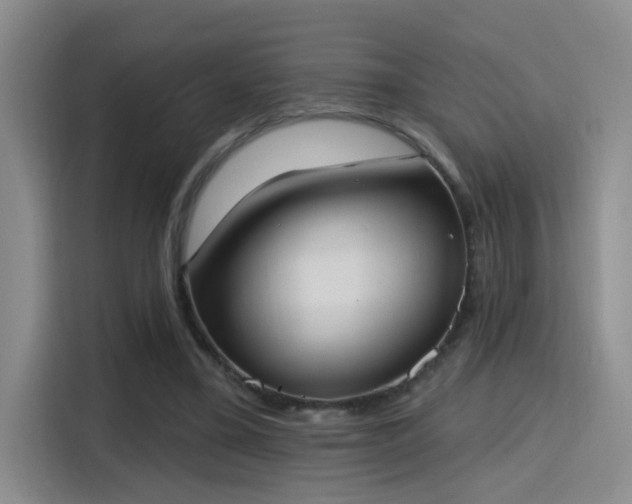 X0000115400395200911101516