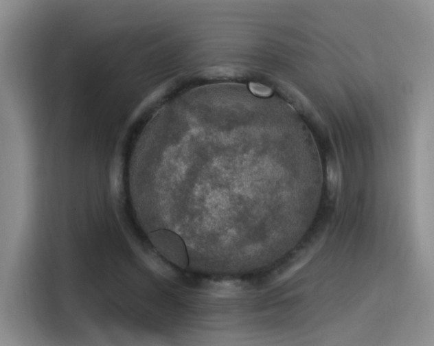 X0000115400396200911101516