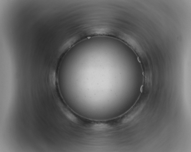 X0000115400397200911101516